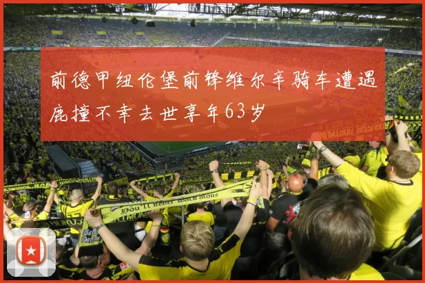 前德甲纽伦堡前锋维尔辛骑车遭遇鹿撞不幸去世享年63岁
